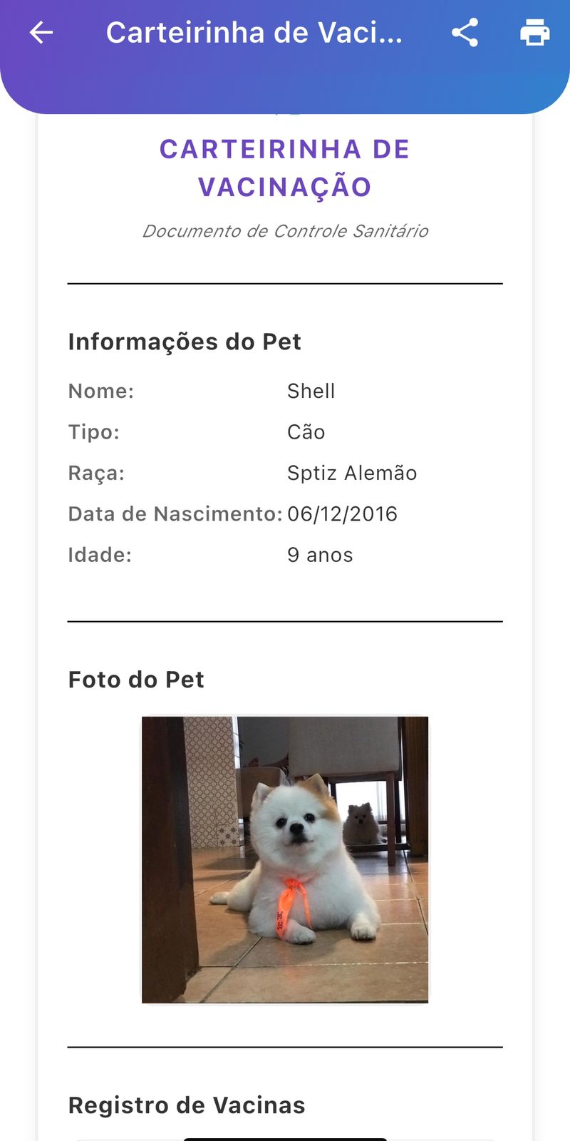 Carteirinha de vacinação digital