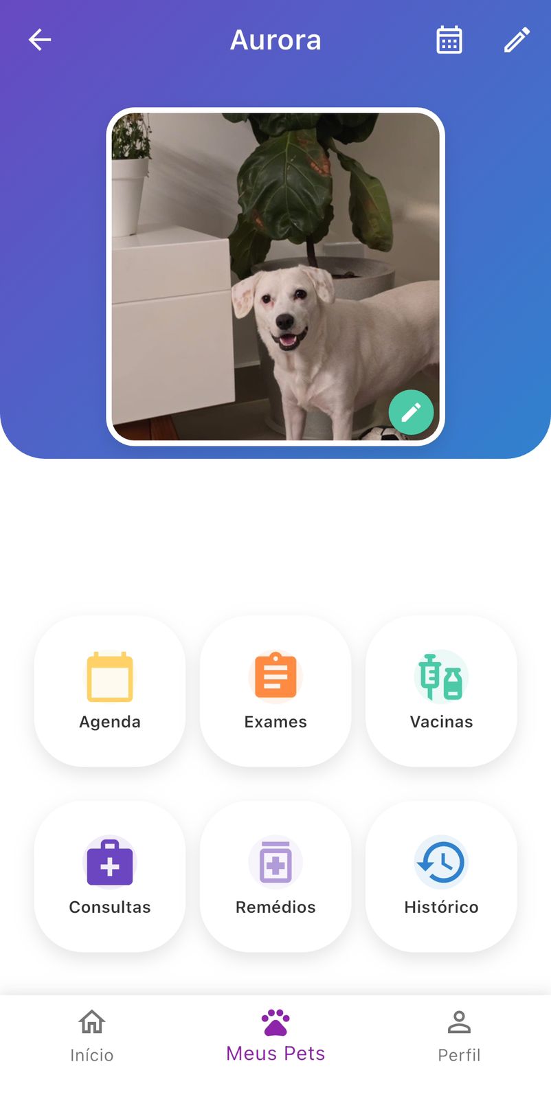 Perfil detalhado do pet